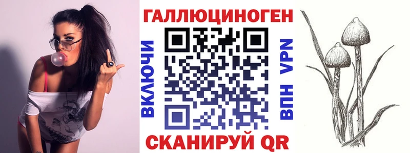 darknet телеграм  купить  сайты  MEGA как зайти  Киров  Галлюциногенные грибы Psilocybe 